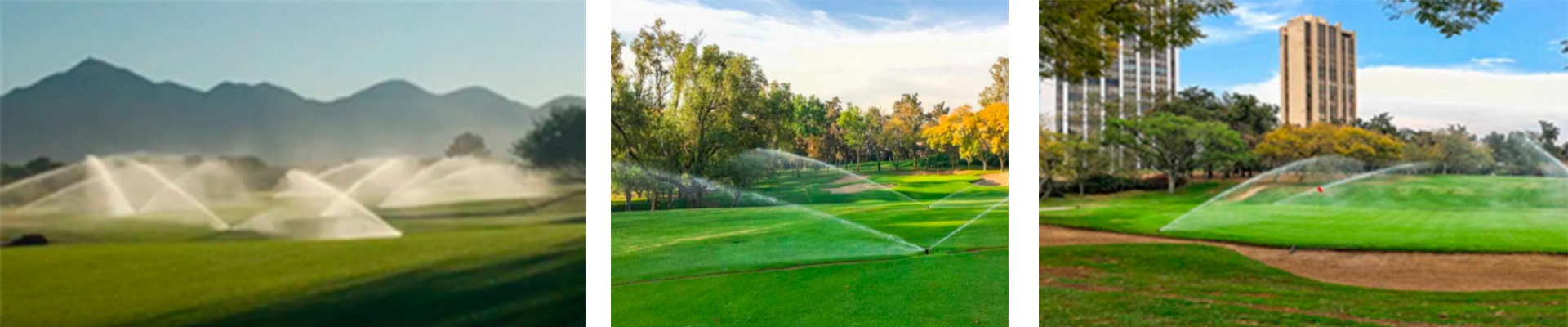 Golf [descripción breve]